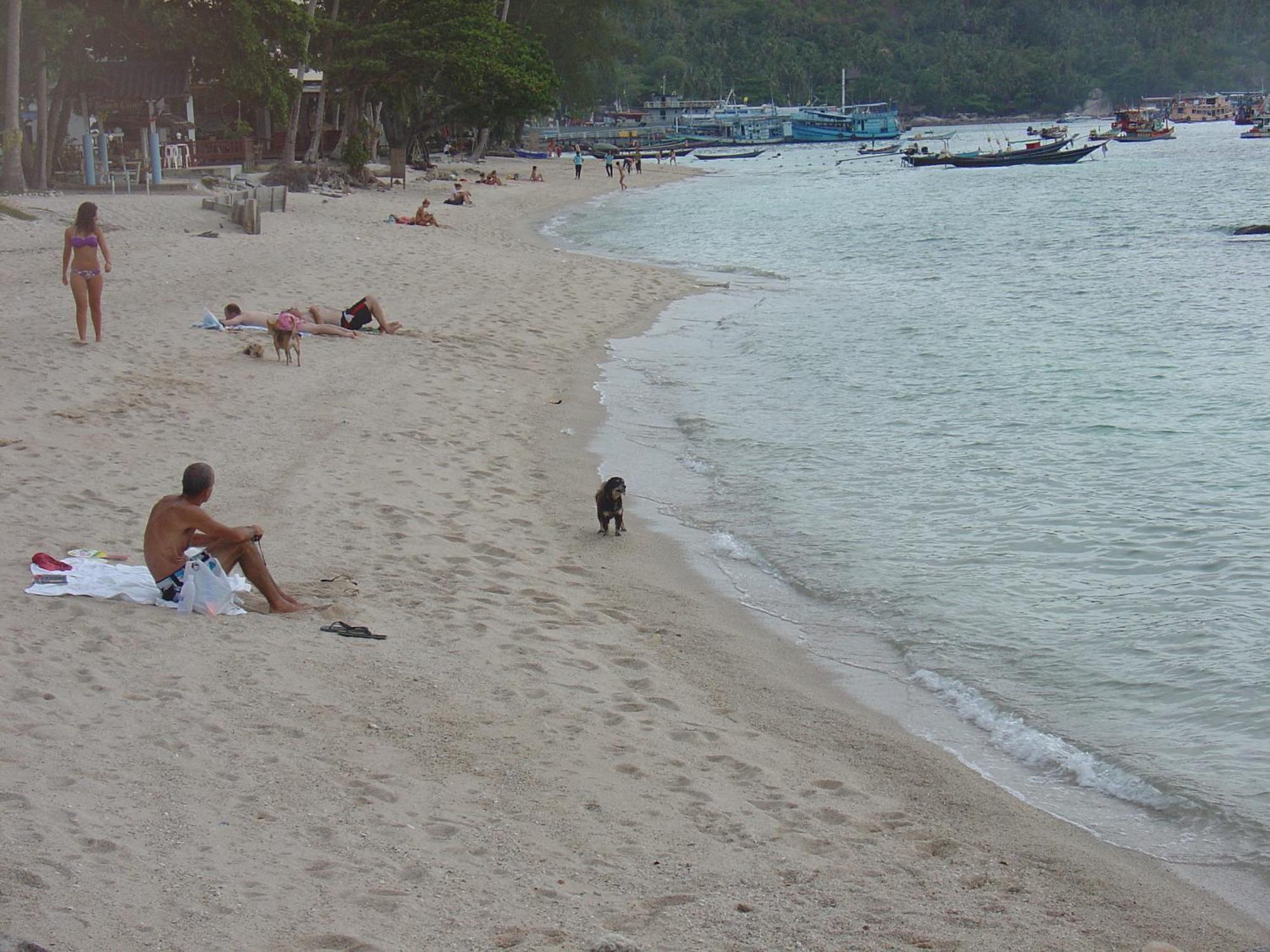 Queen Resort Ko Tao Esterno foto