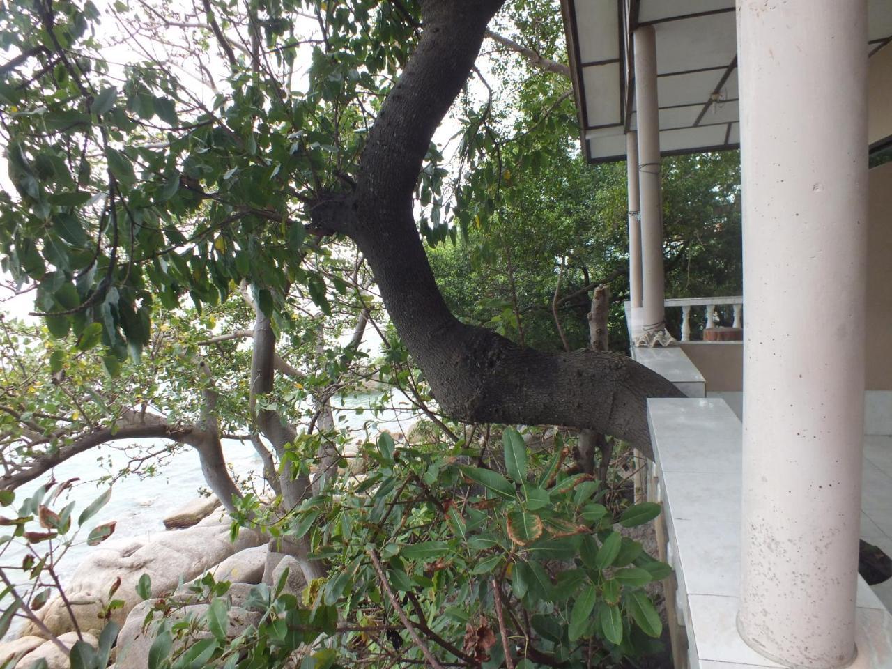 Queen Resort Ko Tao Esterno foto